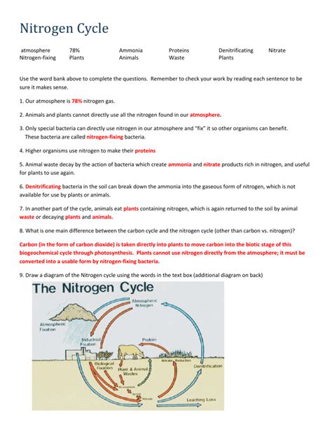 integrated science nitrogen cycle worksheet answers